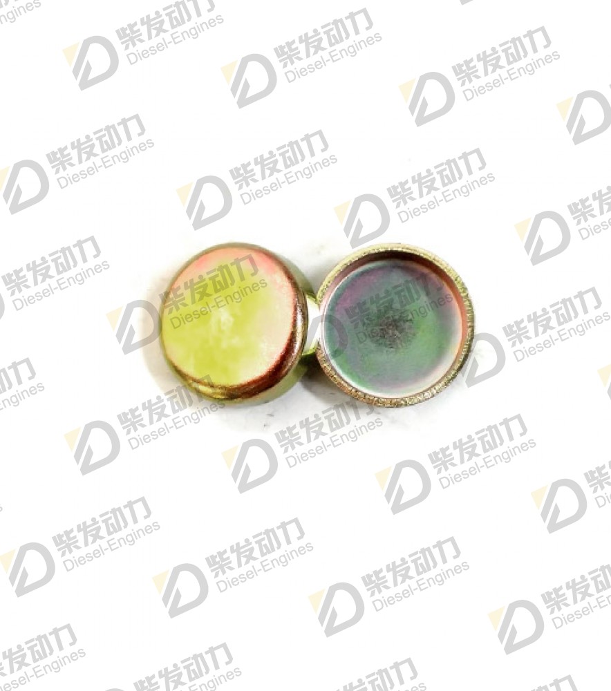 Cap plug 20412745 
